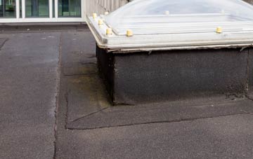 disadvantages of Locharbriggs flat roofs